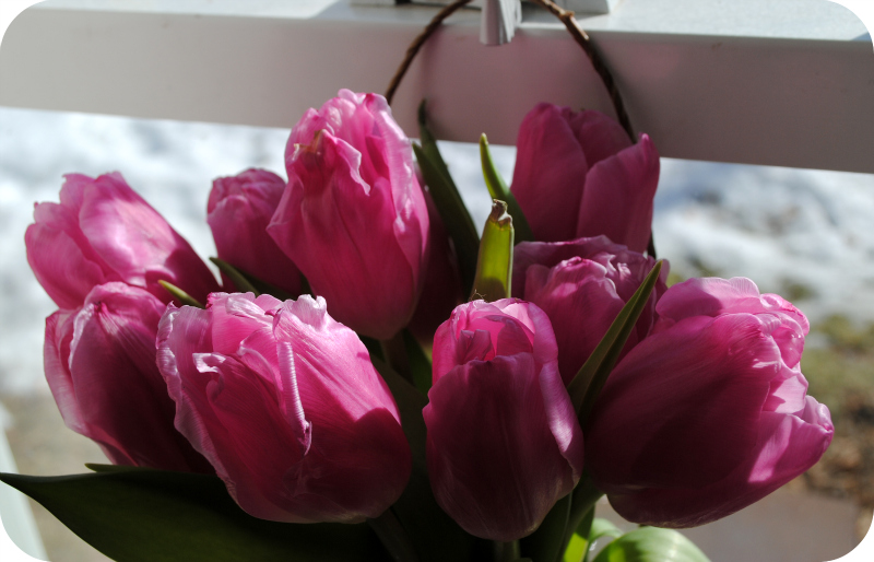 Hanging Window Vase Tutorial DIYthinker